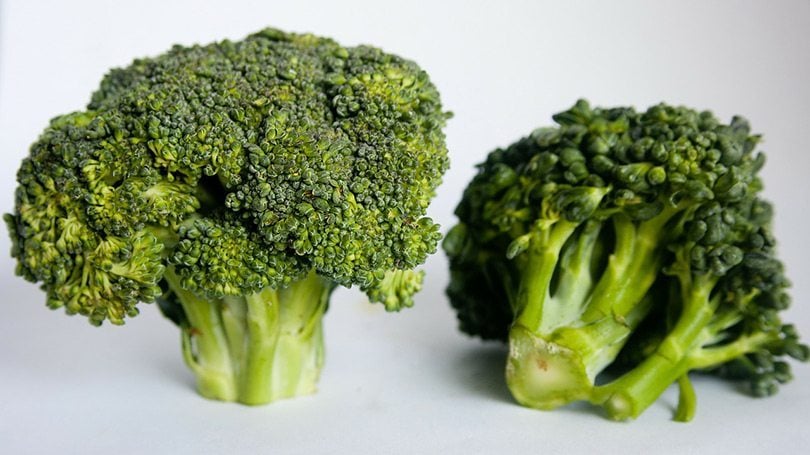 broccoli is a great blw food.