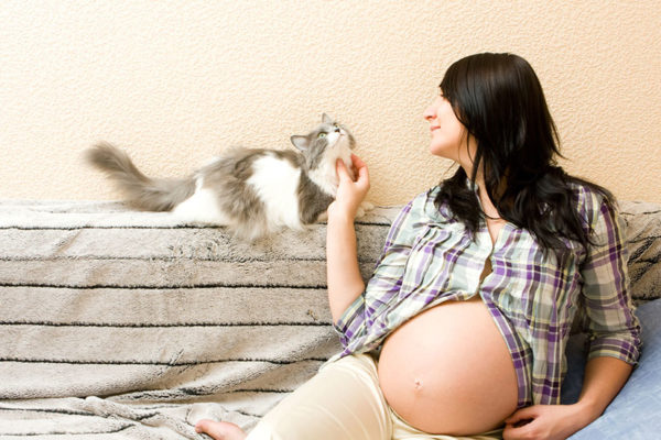 pregnancy and cats